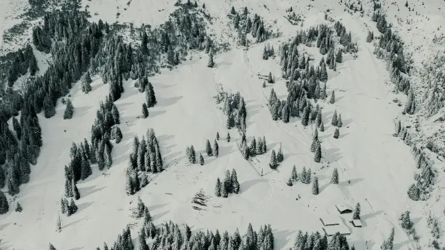 Skidresor till Champéry