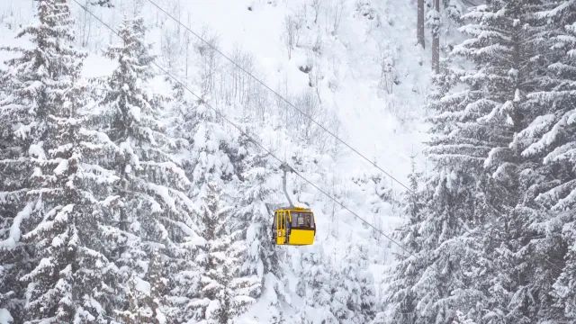 Skidresor till Leogang