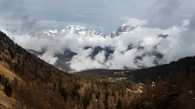 Skidresor till Madonna di Campiglio