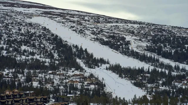 Skidresor till Söll